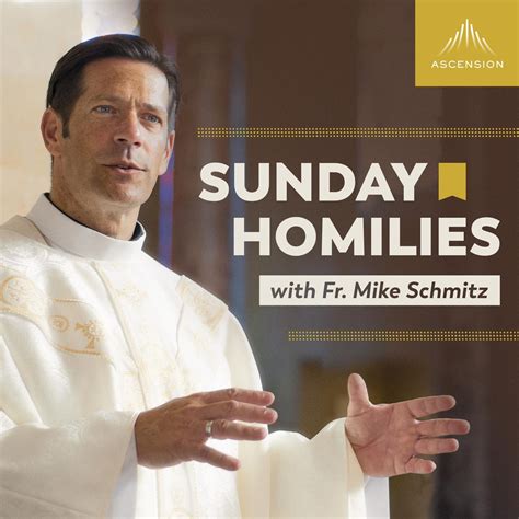 fr mike schmitz|fr mike schmitz homily today.